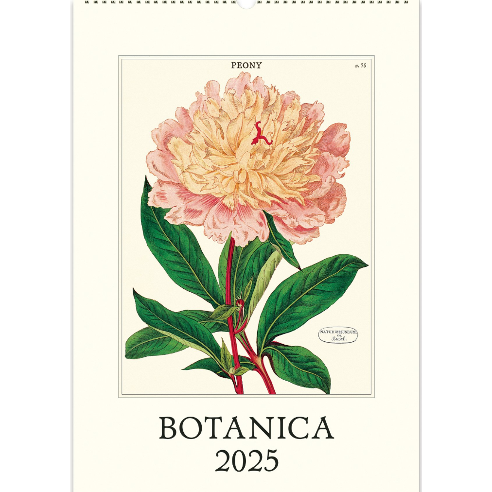 Cavallini Calendar - Botanica – Accoutrement